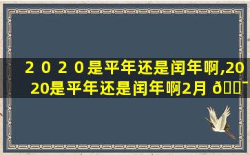 ２０２０是平年还是闰年啊,2020是平年还是闰年啊2月 🐯 有多少天